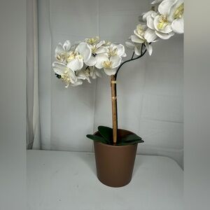 Plastic Indoor Outdoor Planter Pot Nest Brown Threshold Size 6”x6.4"